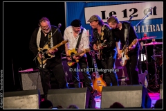 fred-chapellier-friends-festival-blues-availles_18307525914_o