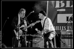 fred-chapellier-friends-festival-blues-availles_18310033473_o
