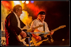 fred-chapellier-friends-festival-blues-availles_18743020228_o