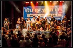 fred-chapellier-friends-festival-blues-availles_18743637019_o