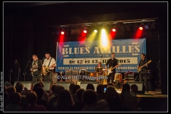 fred-chapellier-friends-festival-blues-availles_18744955709_o