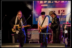 fred-chapellier-friends-festival-blues-availles_18903856436_o