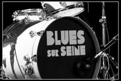 candye-kane-blues-sur-seine_8314489277_o