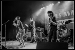 alexx-the-mooonshiners-festival-blues-availles_18297548523_o