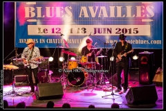 jerome-pietri-festival-blues-availles_18897608225_o