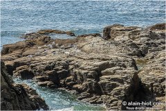 pointe-du-castelli-1