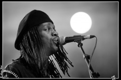 bernard-allison-cahors-blues-festival-2012_7660905940_o
