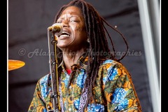 IMG_3973