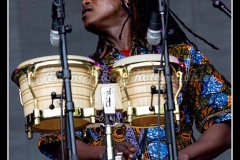 IMG_3989