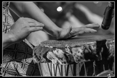 IMG_4845