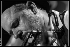 IMG_4979
