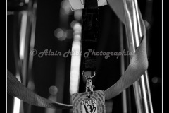 MG_8010