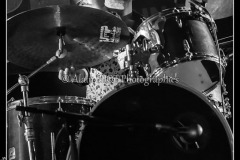 MG_0334