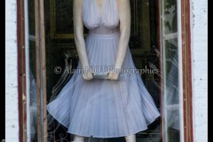 zMG_0891
