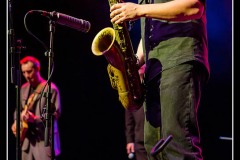 buzztown-blues-feat-vincent-bucher-la-nuit-du-blues-de-mennecy_8488714527_o