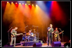 buzztown-blues-feat-vincent-bucher-la-nuit-du-blues-de-mennecy_8488740915_o