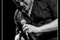 buzztown-blues-feat-vincent-bucher-la-nuit-du-blues-de-mennecy_8488874895_o