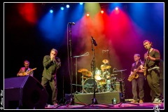 buzztown-blues-feat-vincent-bucher-la-nuit-du-blues-de-mennecy_8489772402_o