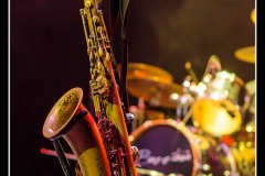 buzztown-blues-feat-vincent-bucher-la-nuit-du-blues-de-mennecy_8489828156_o