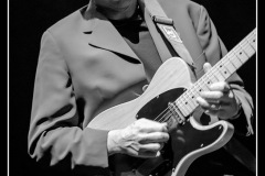 buzztown-blues-feat-vincent-bucher-la-nuit-du-blues-de-mennecy_8489871866_o