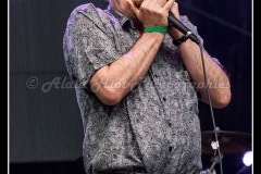 IMG_4412