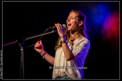 fred-chapellier-friends-festival-blues-availles_18307994394_o