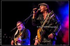 fred-chapellier-friends-festival-blues-availles_18742498338_o