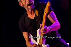 fred-chapellier-friends-festival-blues-availles_18742647828_o