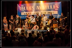 fred-chapellier-friends-festival-blues-availles_18743717699_o