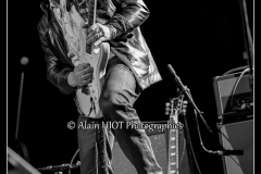fred-chapellier-friends-festival-blues-availles_18744536659_o
