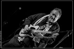 fred-chapellier-friends-festival-blues-availles_18924958302_o