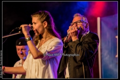 fred-chapellier-friends-festival-blues-availles_18925223022_o
