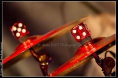zMG_1166