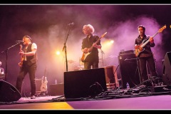fred-chapellier-blues-autour-du-zinc_8574674119_o