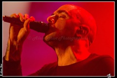 IMG_6696