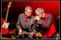 shaggy-dogs-ebc-toulouse_8550503159_o