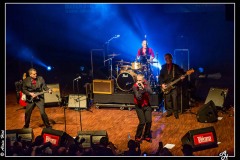 shaggy-dogs-ebc-toulouse_8550522307_o