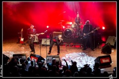 shaggy-dogs-ebc-toulouse_8550532771_o