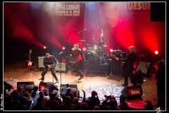 shaggy-dogs-ebc-toulouse_8550536161_o