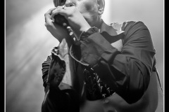 shaggy-dogs-ebc-toulouse_8550539015_o