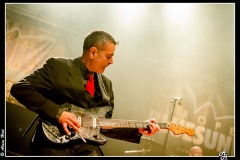 shaggy-dogs-ebc-toulouse_8550542323_o