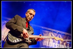 shaggy-dogs-ebc-toulouse_8550547991_o