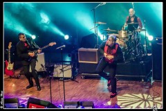 shaggy-dogs-ebc-toulouse_8550623417_o