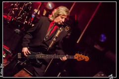 shaggy-dogs-ebc-toulouse_8550635283_o