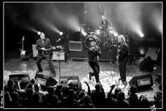 shaggy-dogs-ebc-toulouse_8551631118_o