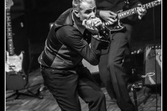 shaggy-dogs-ebc-toulouse_8551701748_o