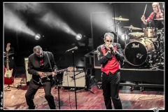 shaggy-dogs-ebc-toulouse_8551708102_o