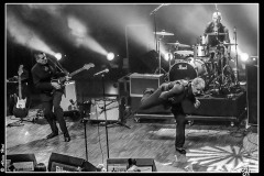 shaggy-dogs-ebc-toulouse_8551730794_o