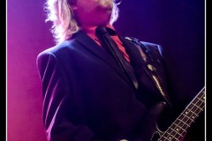 shaggy-dogs-ebc-toulouse_8551751056_o