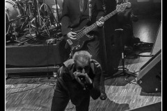 shaggy-dogs-ebc-toulouse_8551769048_o